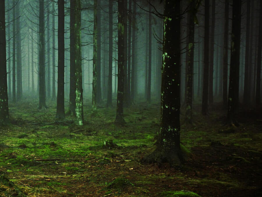 Eko projektowanie – jak tworzyć projekty w zgodzie z naturą?